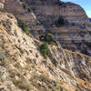 The Sinks, OC's mini- Grand Canyon, as seen from the Limestone Canyon Road.