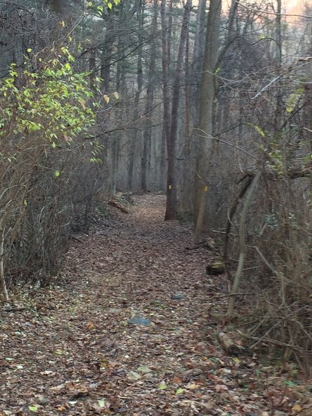 The downhill run back to the Nature Center and Parking area. Please watch your speed!