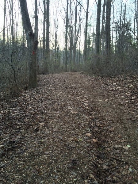 Antietam Lake Trail leading out of the main parking area.