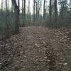 Antietam Lake Trail leading out of the main parking area.