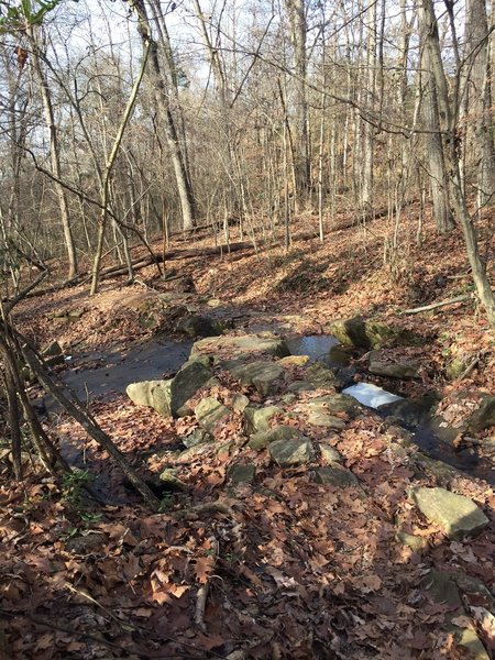 Part of the Little Pisgah rock garden at Hobby Park.