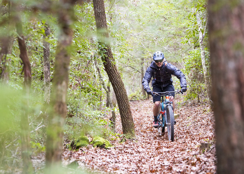 Chestnut Ridge Loop Chestnut Ridge Loop Mountain Bike Trail, Oneida, Tennessee