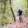 Cruising through dense forest along the John Muir Trail.