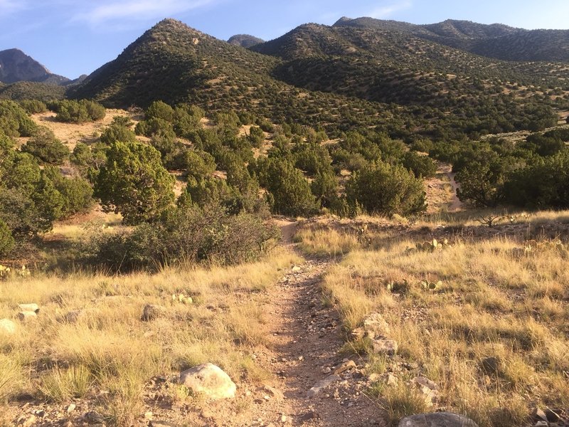 Beautiful scenery abounds in and around the Forest Road Loop.