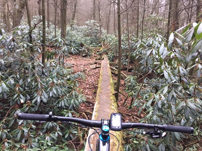 Log crossing at the bottom of the trail. Prepare yourself for a bit of a hike.