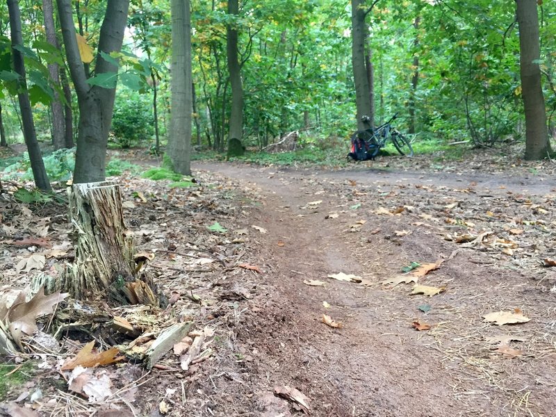 One singletrack trails flows into the other.