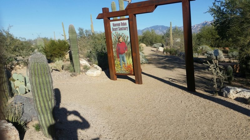 North entrance to the loop.