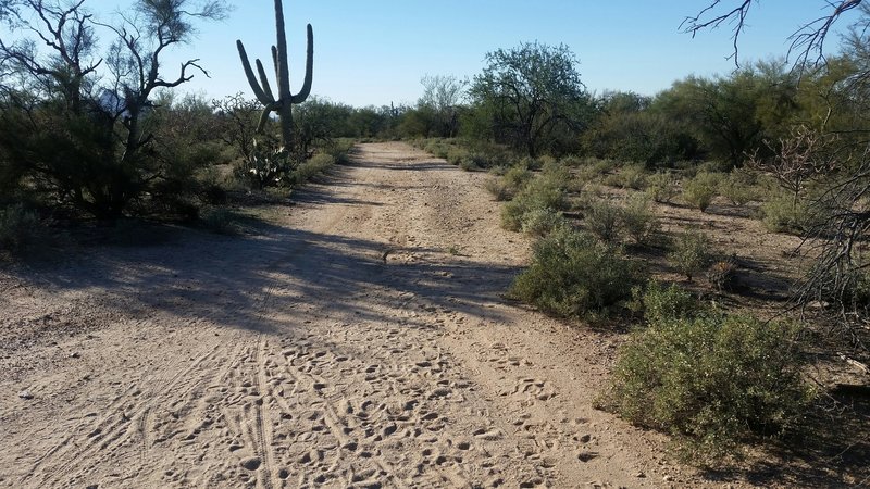 Start of the doubletrack connector.