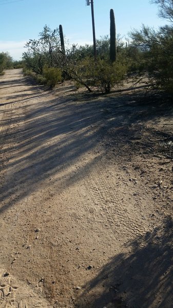 Start of the doubletrack connector.