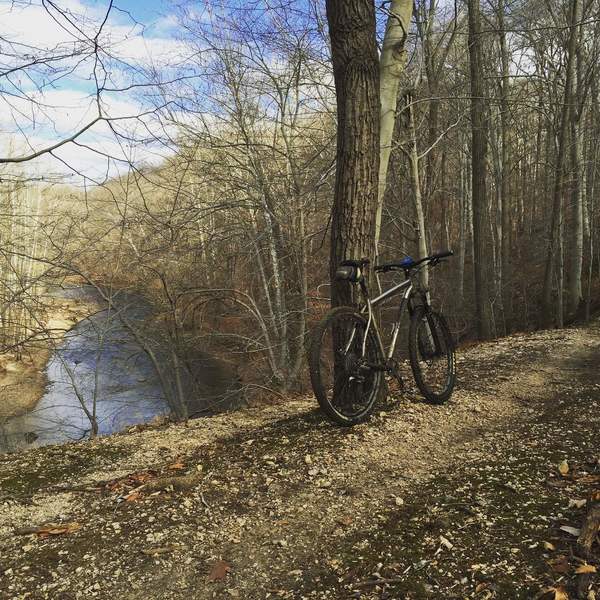 One benefit of winter riding: leaves are down!