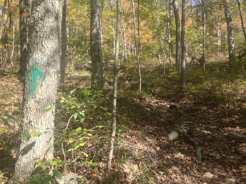 A steep section of the Adventure Hiking Trail, referred to as "the utters"