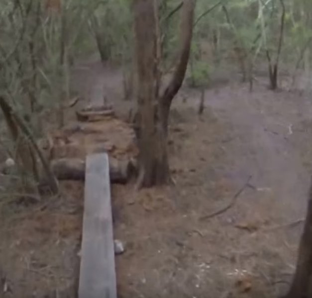 A "skinny" with log pile in the middle. One of many trail features at Jack Brooks.