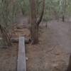 A "skinny" with log pile in the middle. One of many trail features at Jack Brooks.