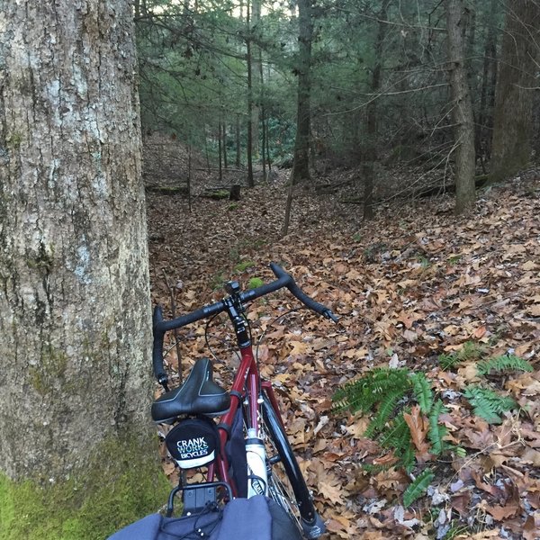 Powder Mill Trail. Very technical in sections.