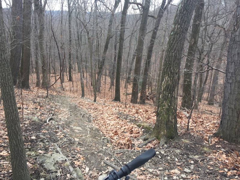 Loose and leafy downhill drop on #14 "Lost at Night" section of White Loop.