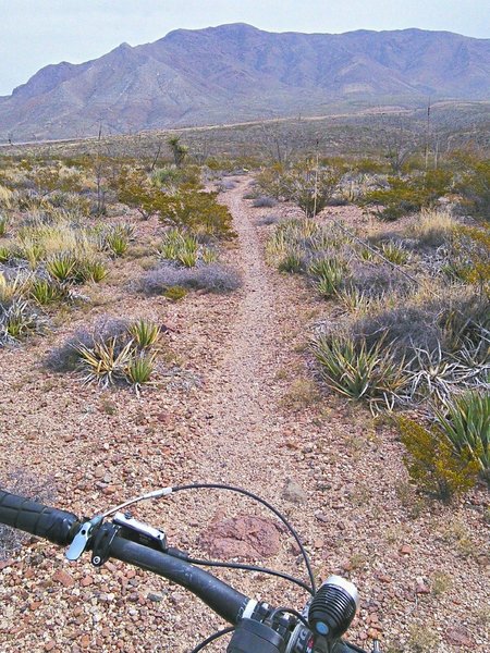 Heading south from 375 with the Franklin Mountains in the background.