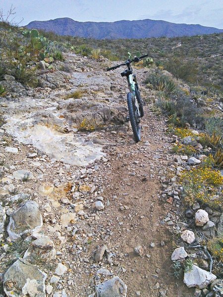 Most sections have easier and more rocky routes.