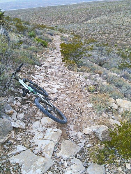 Looking downhill towards El Paso and the Lost Dog Trailhead.