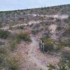 Switchbacks climbing out of the valley.