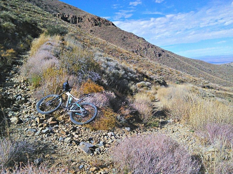 Eroded switchback littered with loose stones is difficult riding either up or down.