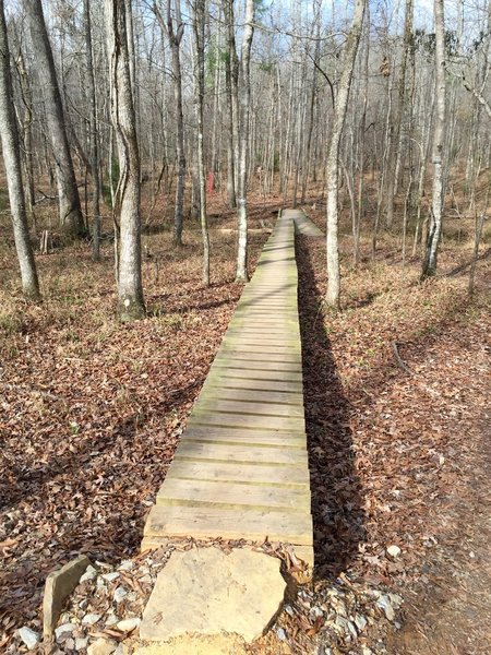 Semi-skinny 12" bridge on Rattlesnake Ridge.