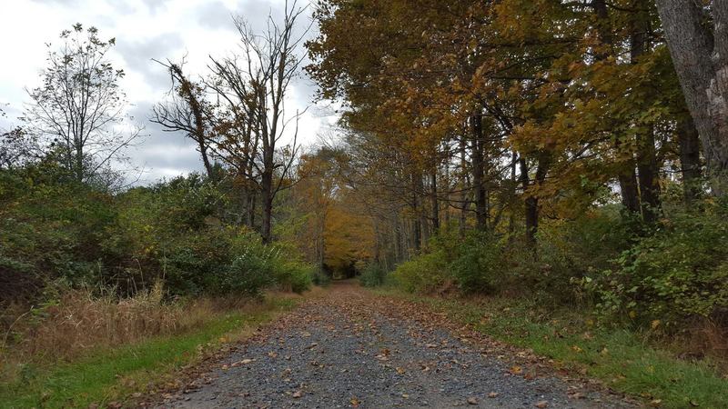 The gravel access road to the trails.