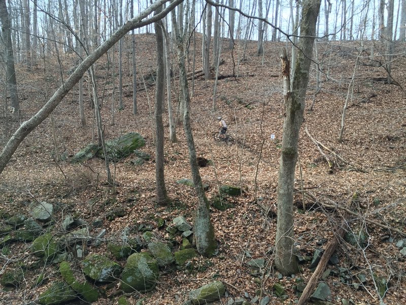 Rider pedaling into the "MORE FUN" section of the Thru Trail.