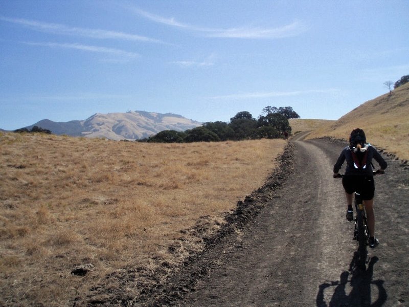 Dry foothills and Mount Diablo in the distance.