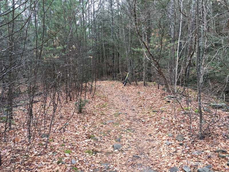 Wide, sometimes rocky, doubletrack main trail.