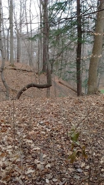 Ravine area on east side of park.