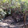 Impressive exposed rock ledge formation next to the trail.