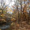 The trail along East Armuchee Creek.