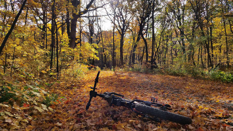 Fall colors in Beulah