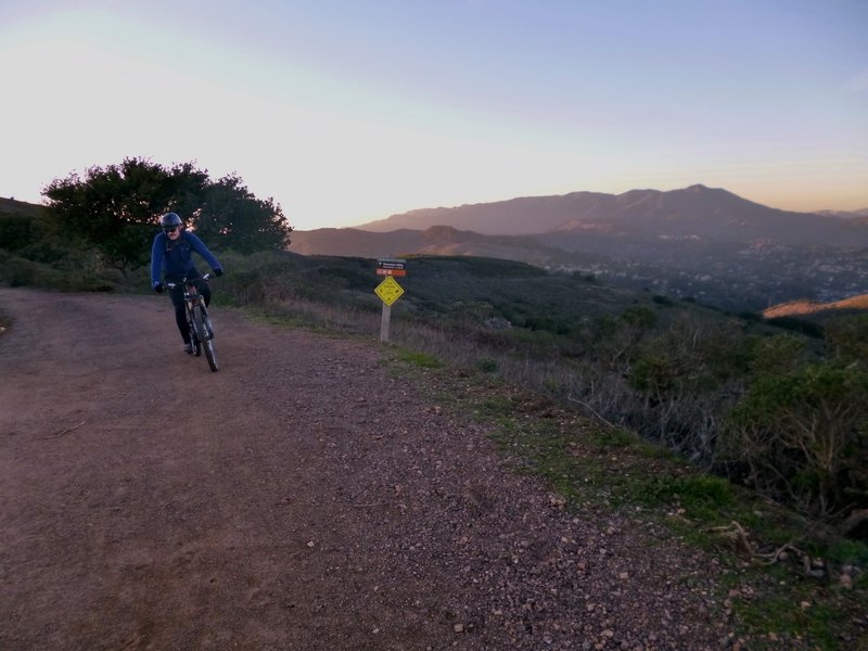 Start of Bobcat Trail with Mount Tamalpais in background.