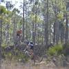 Riding the Wooden Hills