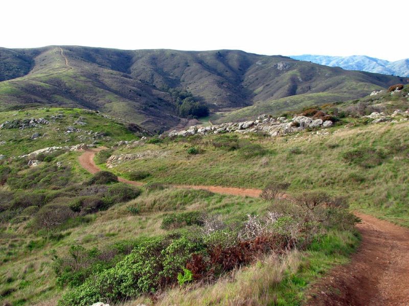 Old Spring Trail, Marin Headlands