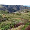 Old Spring Trail, Marin Headlands