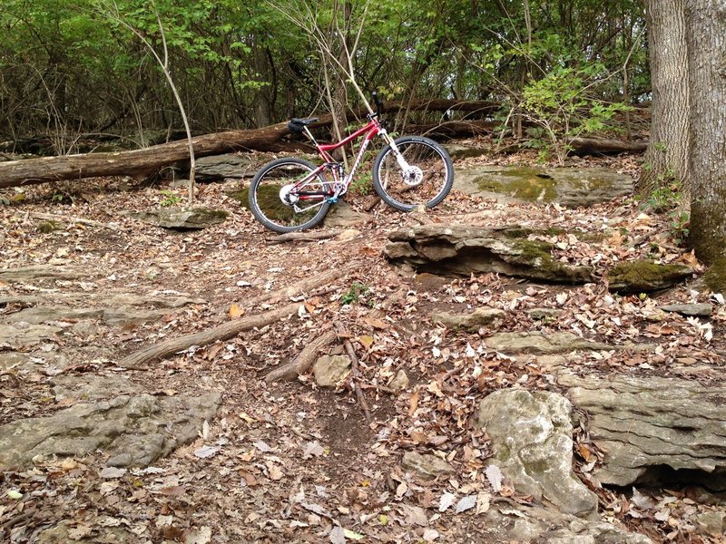 Rocky switchback on Rocky Top.