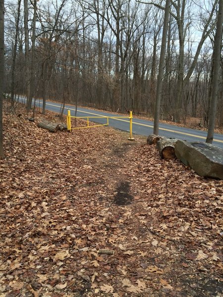 Road Crossing. Proceed past the Fire Road Gate. Take a right then left to get back on the trail.