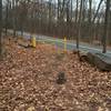 Road Crossing. Proceed past the Fire Road Gate. Take a right then left to get back on the trail.