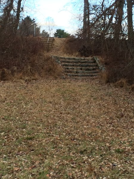 The steps up to Rotary Park.