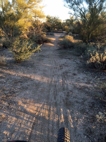 Make the turn east and head back to start of trail.