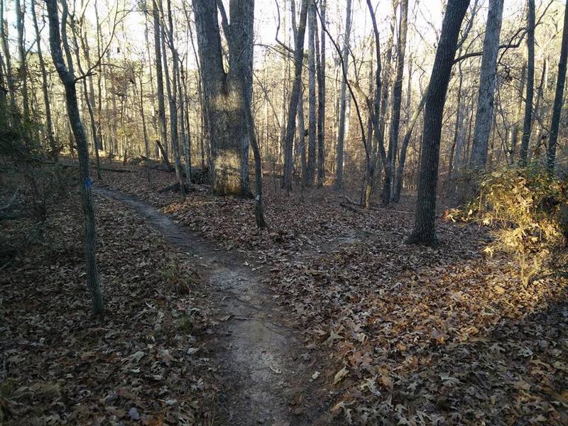 Starting the big downhill at the end of the 12 mile loop. Big swooping switchbacks and some rocky sections upcoming.