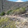 Looking back on Las Alamos Mountain from Xander's Trail.