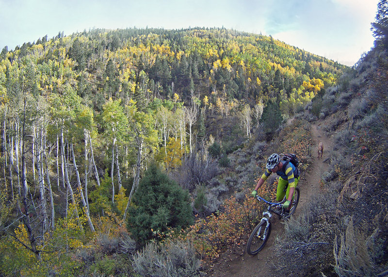 Good views, near the end of Greens Creek