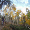 Aspen tress show off their fall colors on Segment 14 of the Colorado Trail.