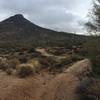 Great view of distant Brown Mountain