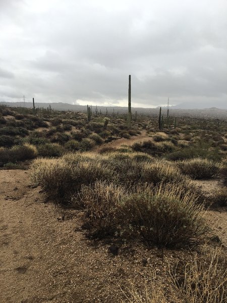 Riding into the rain storm back to the trailhead.