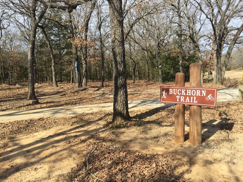 The trailhead of the Buckthorn trail, just south of the Chapel at Lake Murray State Park.