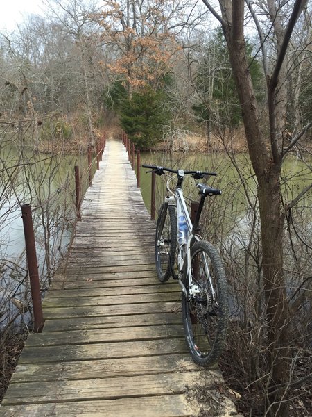 One of the many wooden bridges that cross over the water on the Buckthorn Trail.